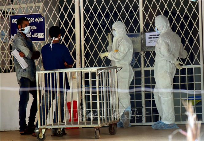 Nhật Bản thử nghiệm lâm sàng vaccine ngừa virus Nipah